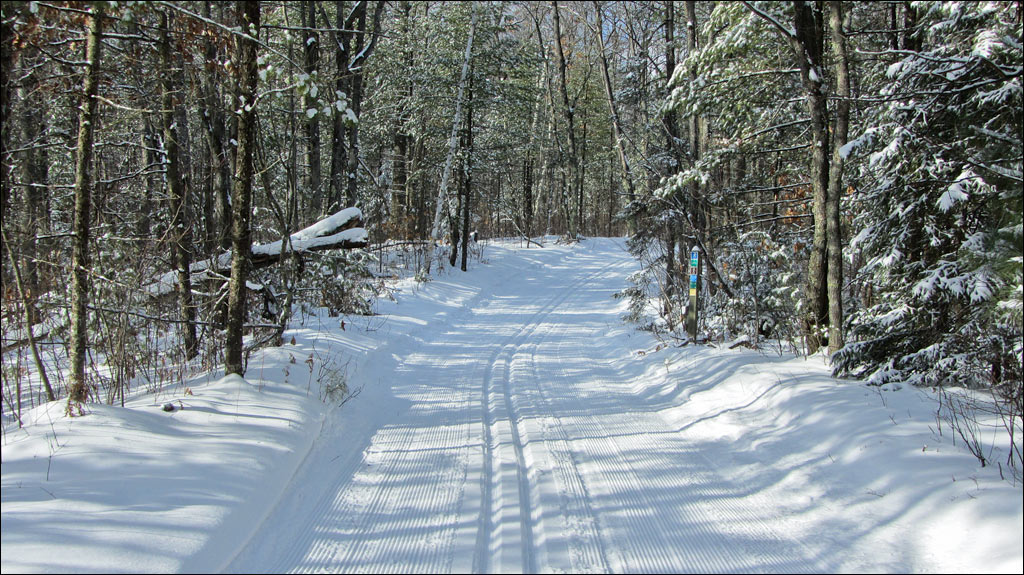 McNaughton Ski Trail Image