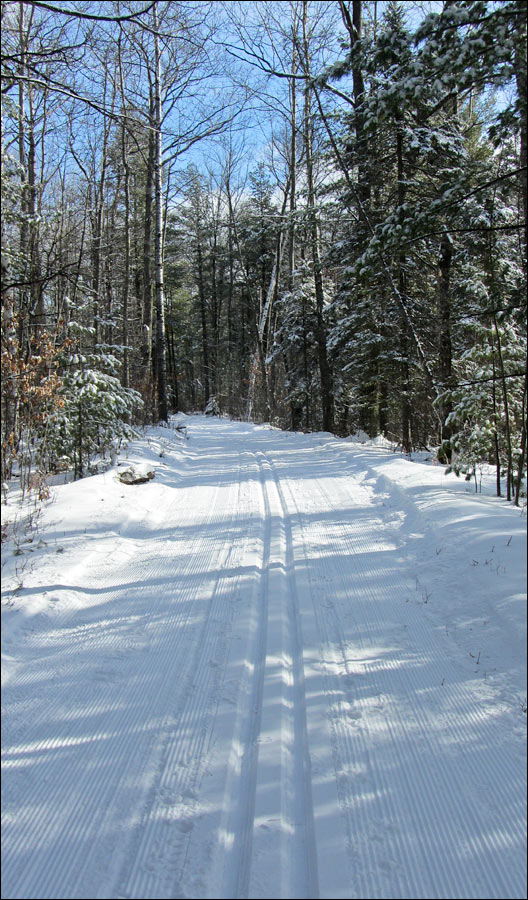 McNaughton Ski Trail Image