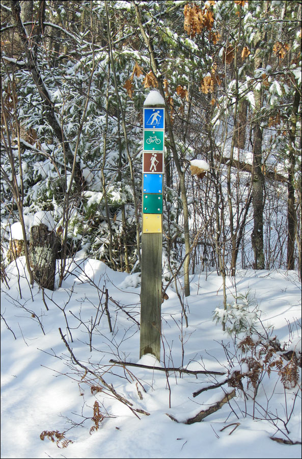 McNaughton Ski Trail Image