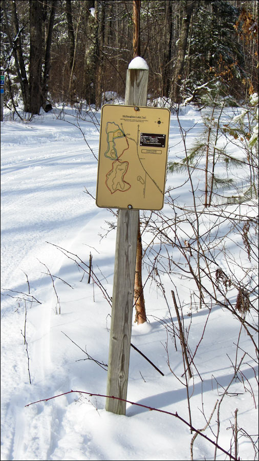 McNaughton Ski Trail Image