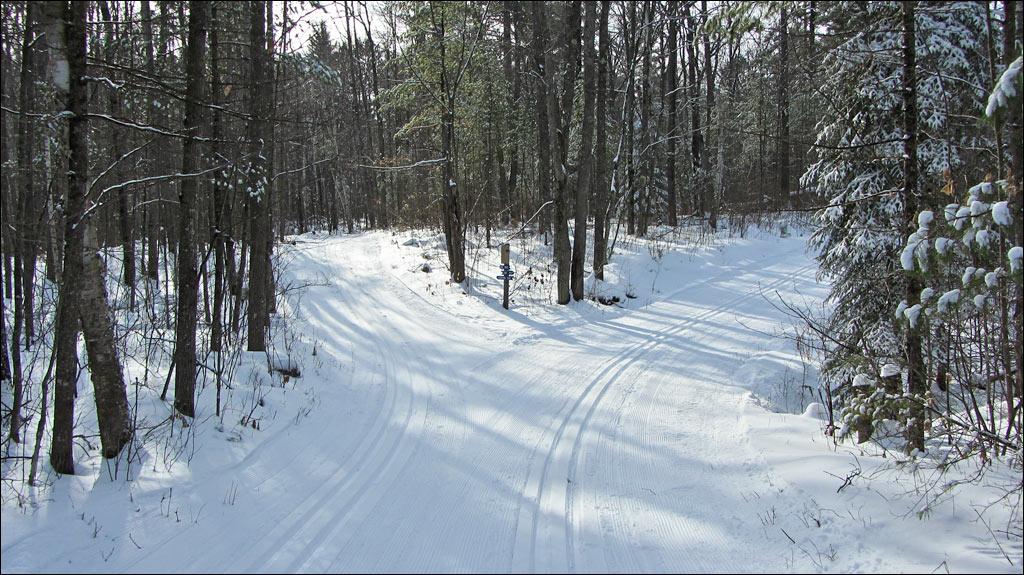 McNaughton Ski Trail Image