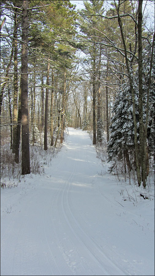 McNaughton Ski Trail Image