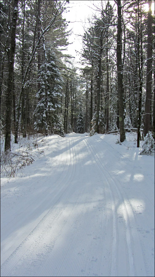 McNaughton Ski Trail Image