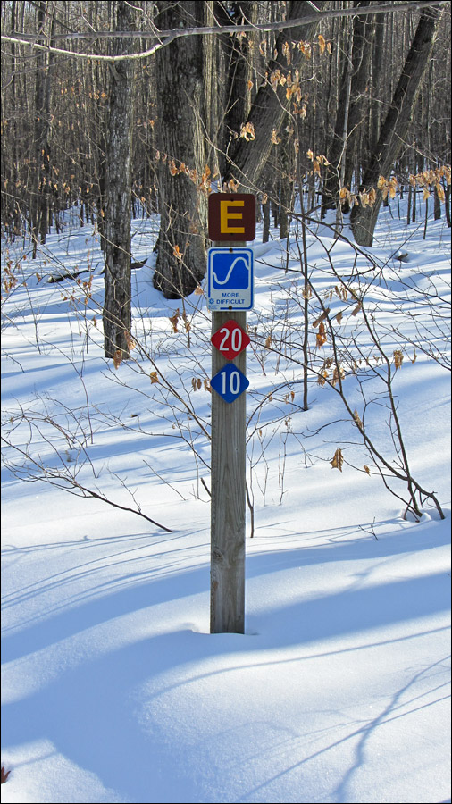 Nine Mile Forest Trail Image