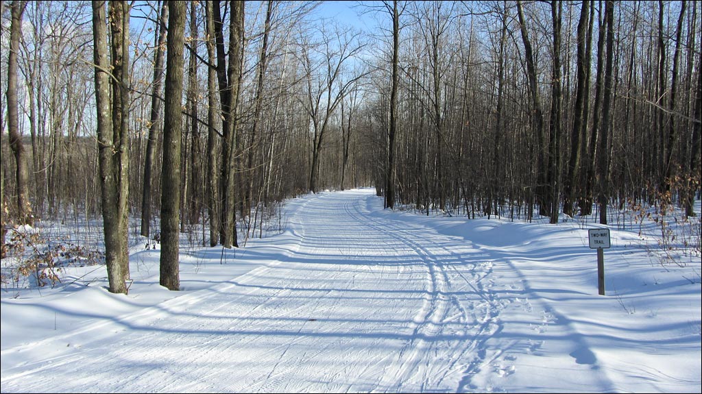 Nine Mile Forest Trail Image