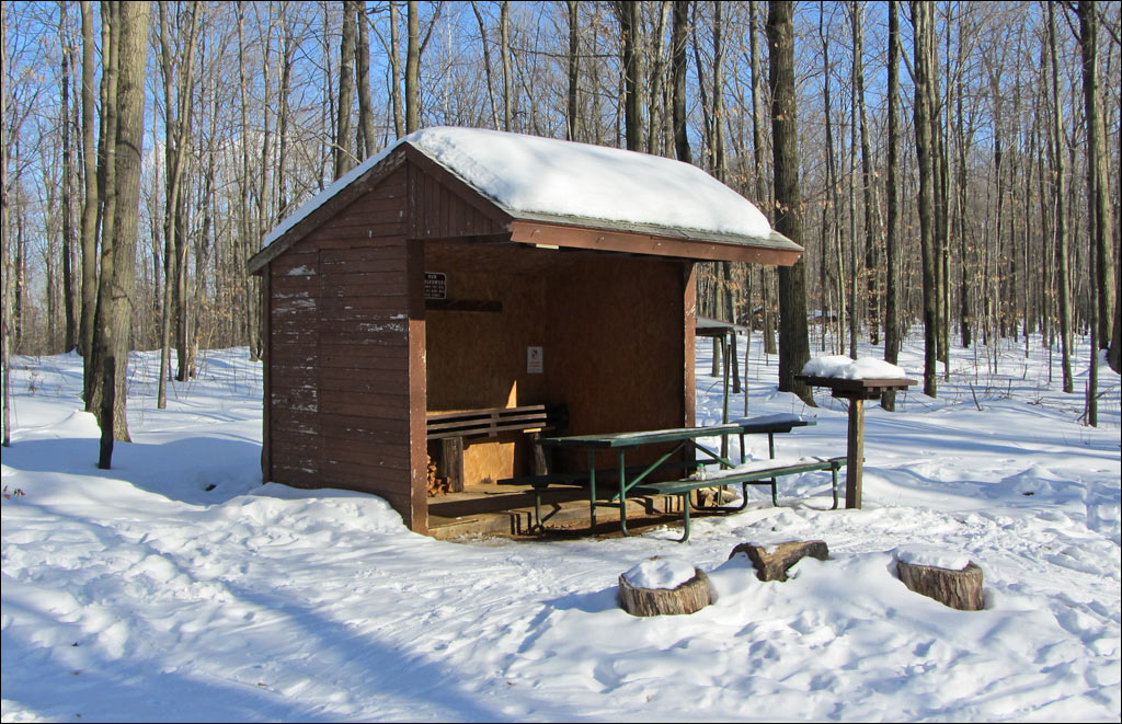 Nine Mile Forest Trail Image