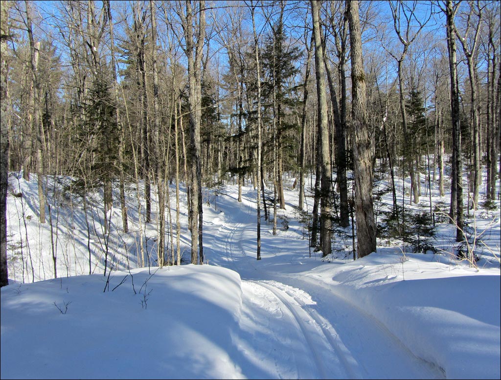 Raven Trail Image