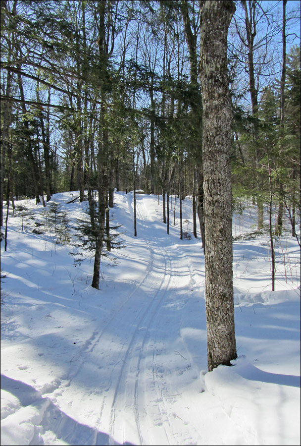 Raven Trail Image
