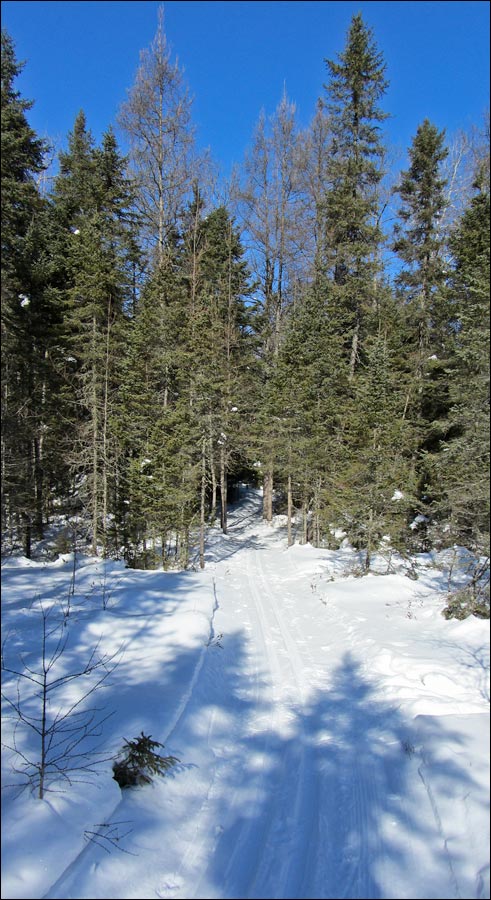 Raven Trail Image