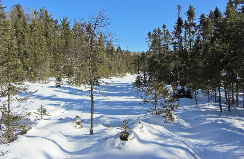 Raven Trail Image