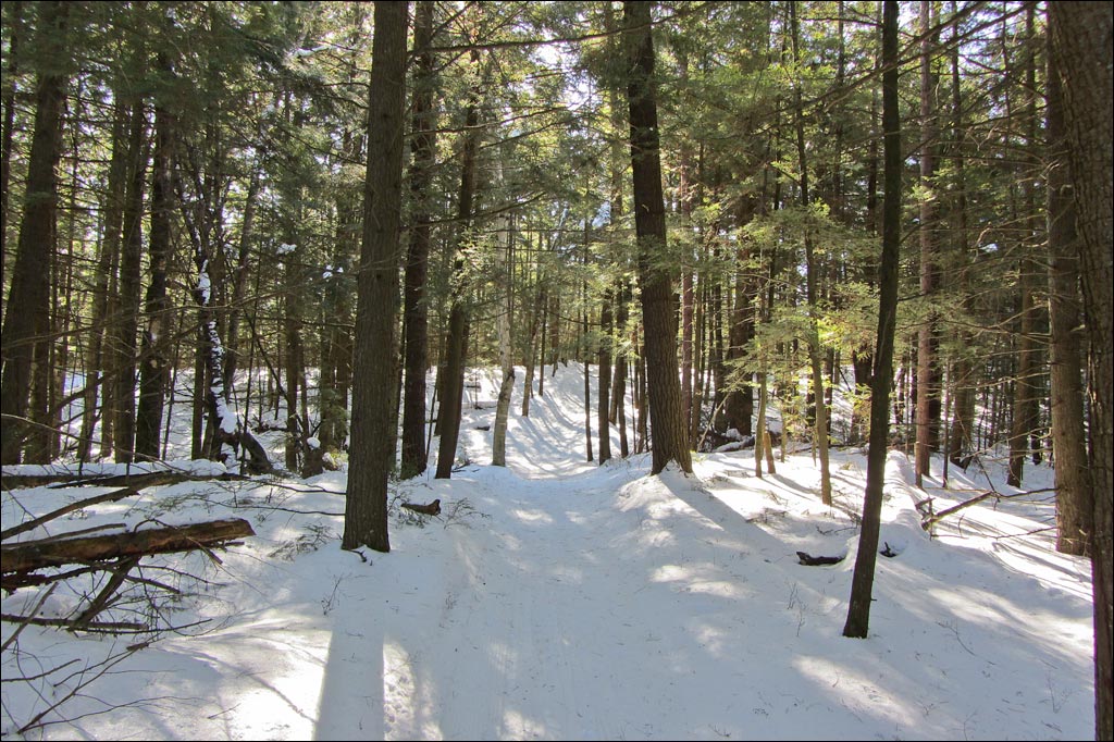 Raven Trail Image