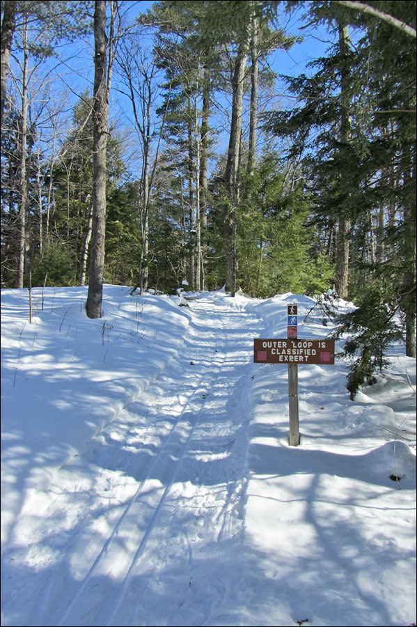 Raven Trail Image