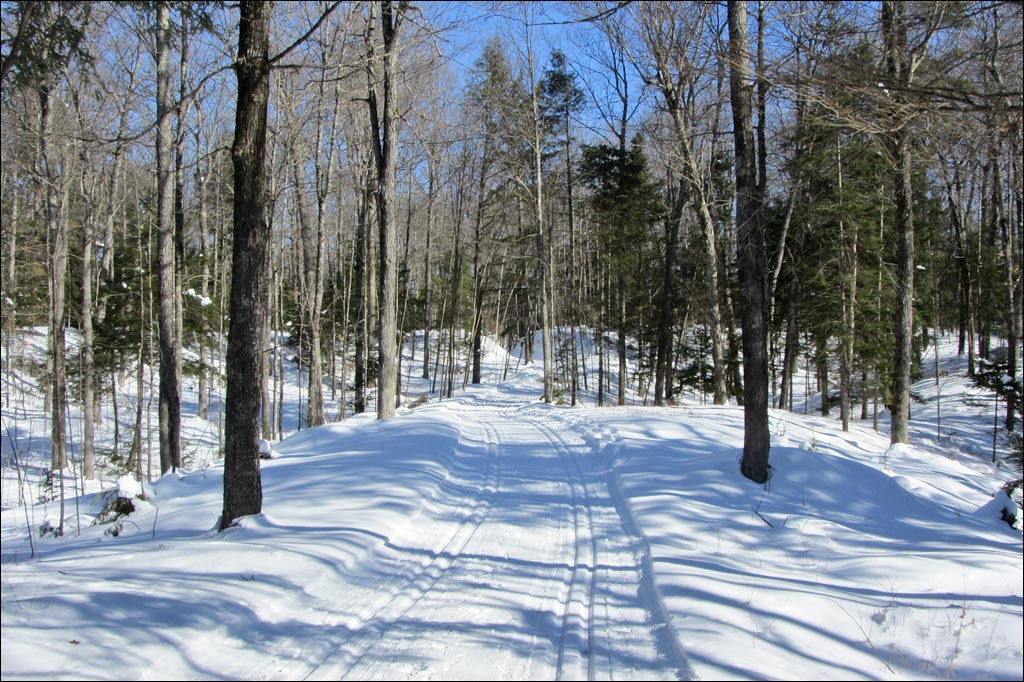 Raven Trail Image