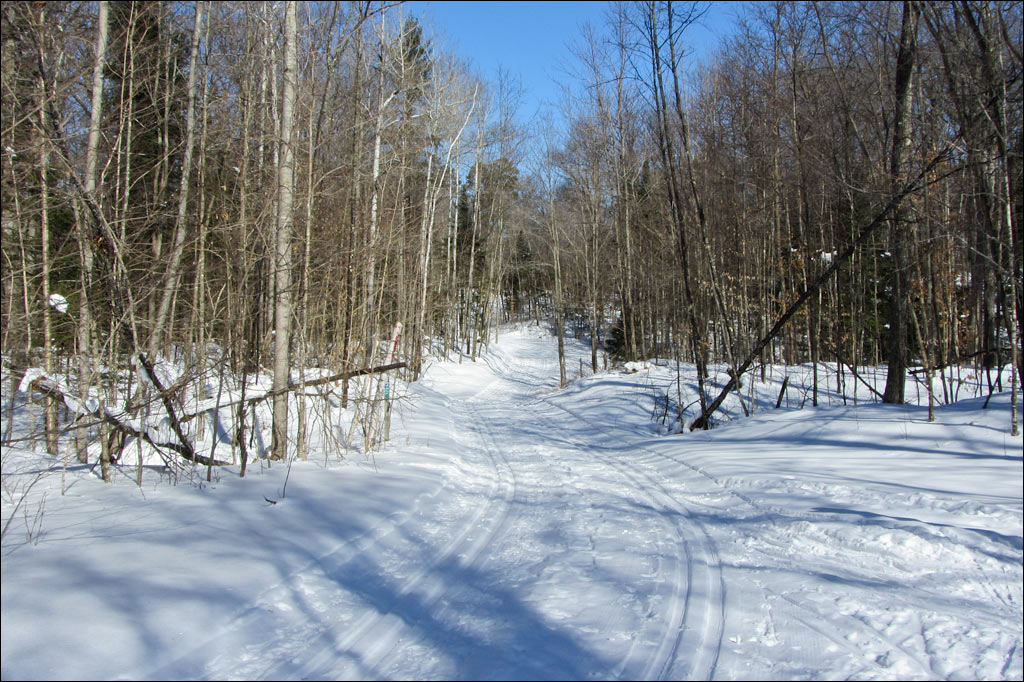 Raven Trail Image