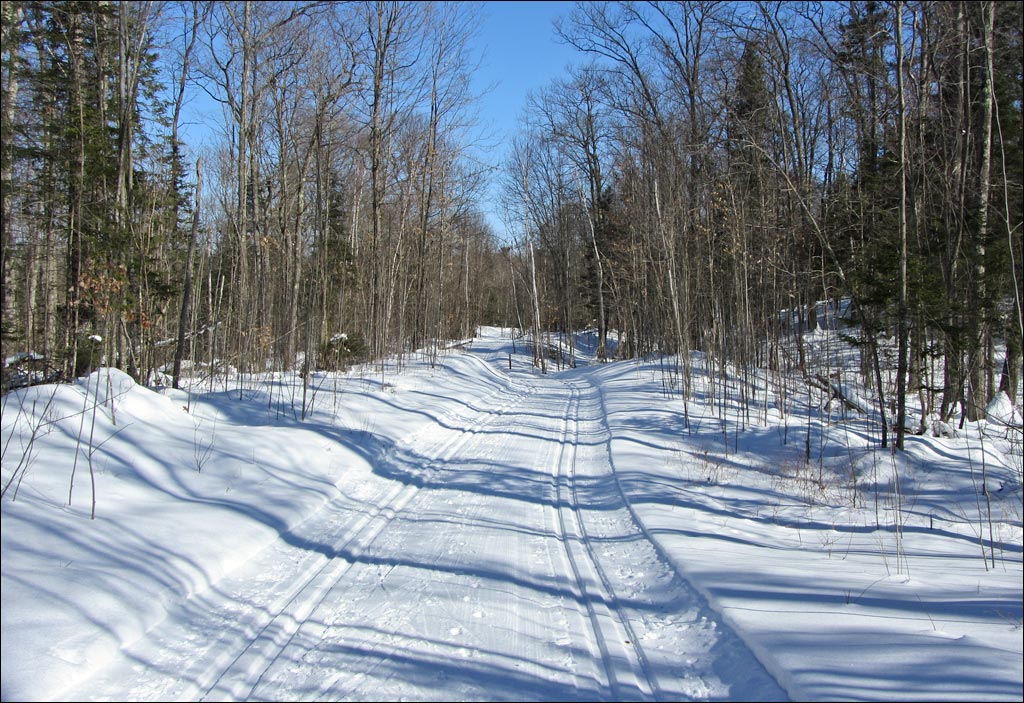 Raven Trail Image