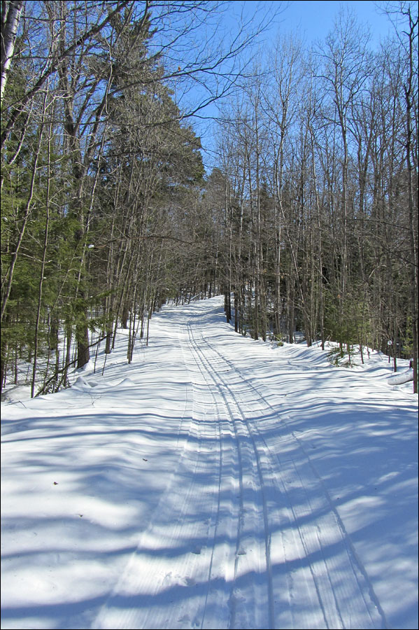 Raven Trail Image