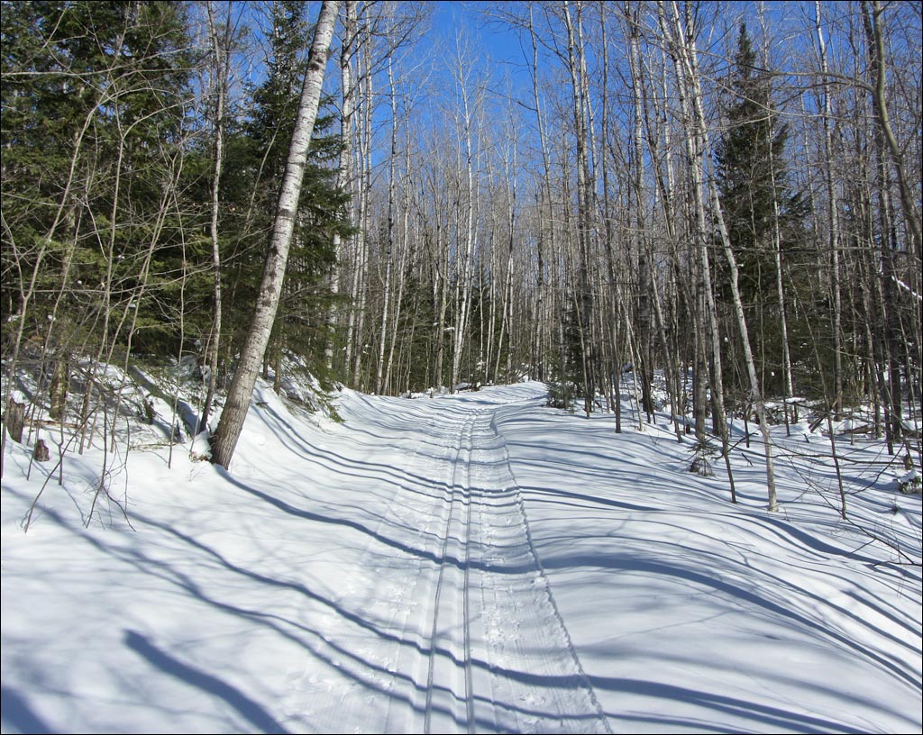 Raven Trail Image