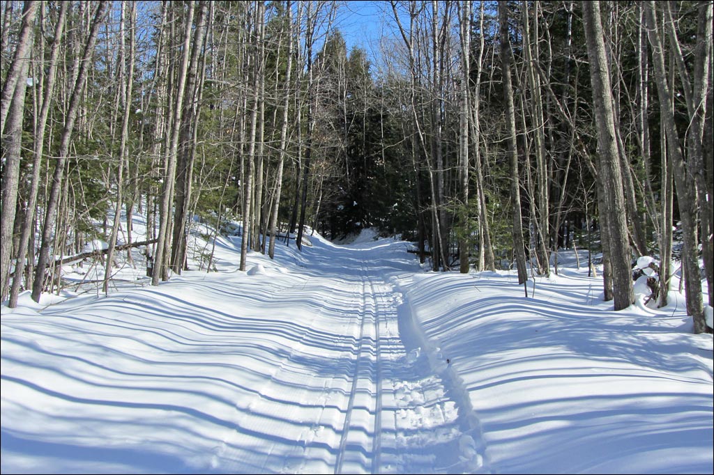 Raven Trail Image