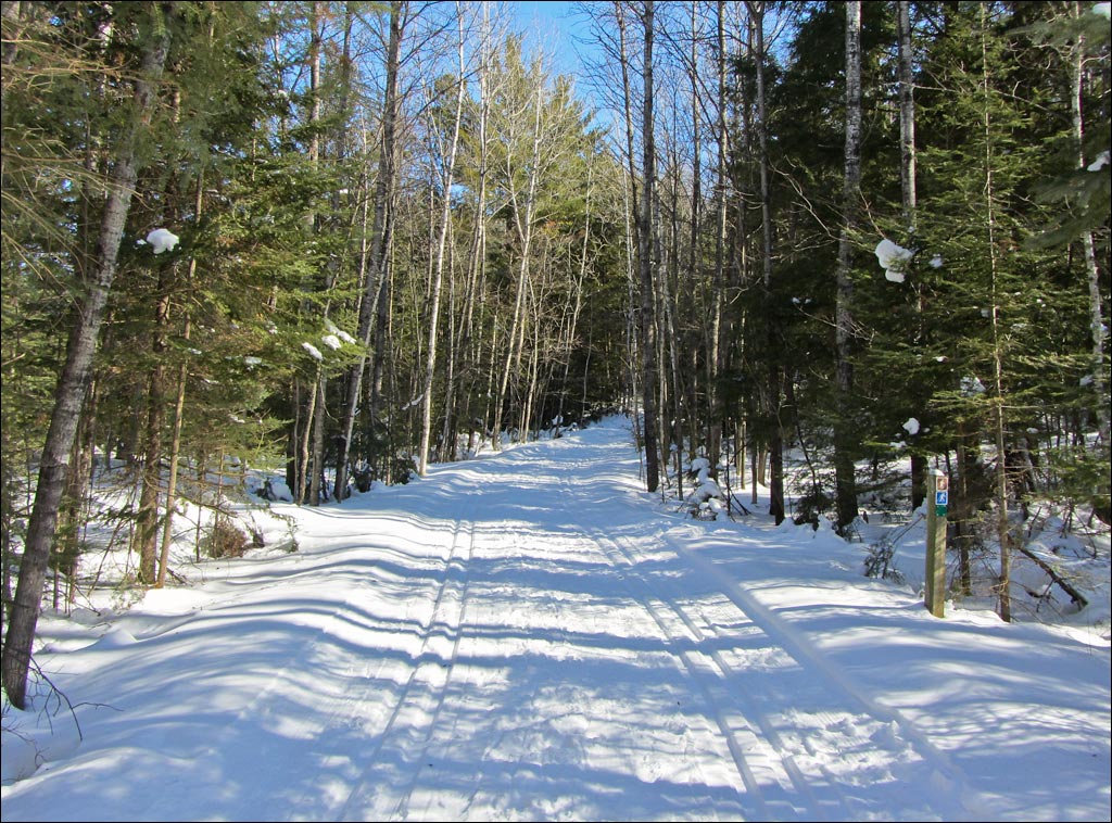 Raven Trail Image