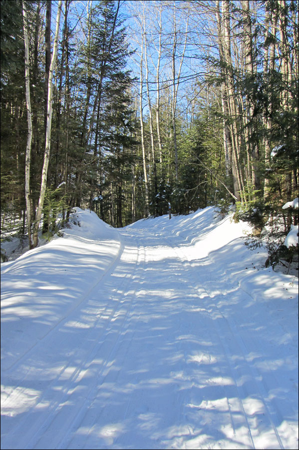 Raven Trail Image