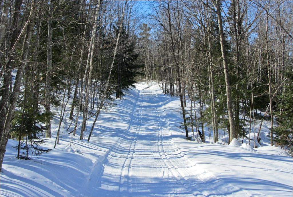 Raven Trail Image