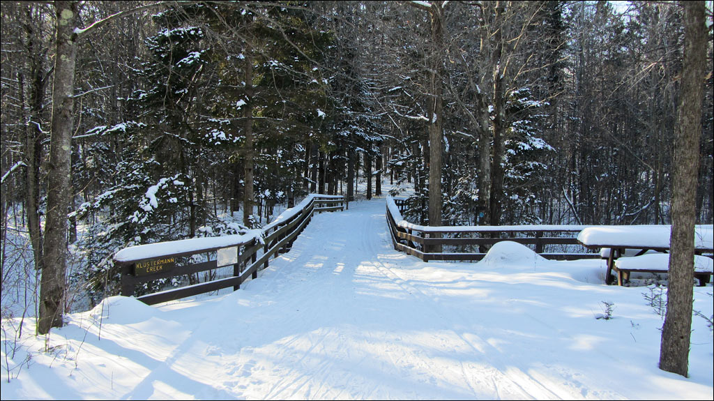 Rib Lake Ski and Snowshoe Trail Image