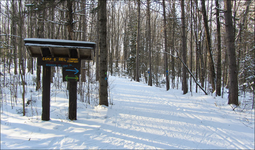 Rib Lake Ski and Snowshoe Trail Image
