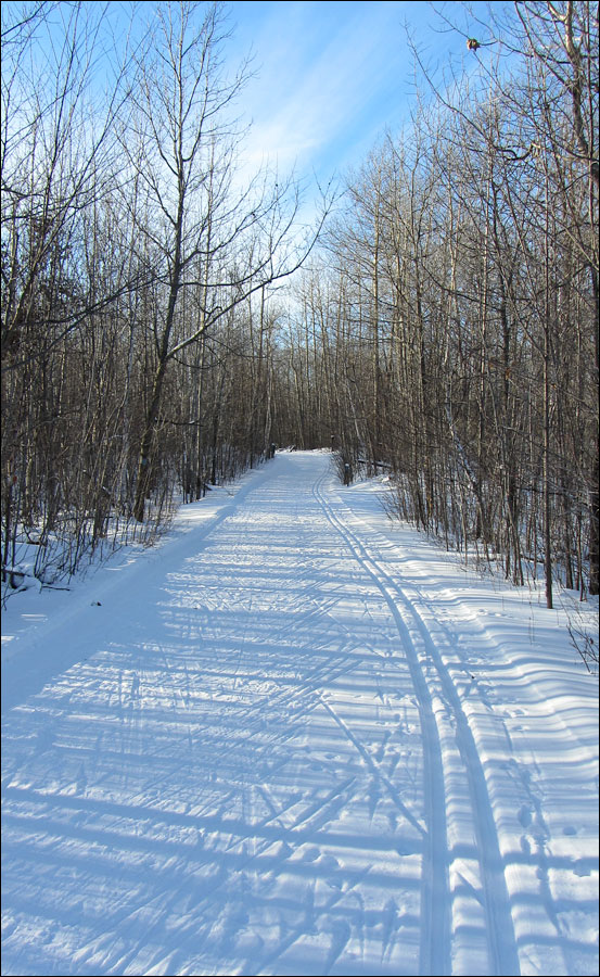 Rib Lake Ski and Snowshoe Trail Image
