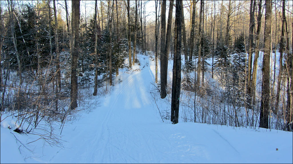 Rib Lake Ski and Snowshoe Trail Image