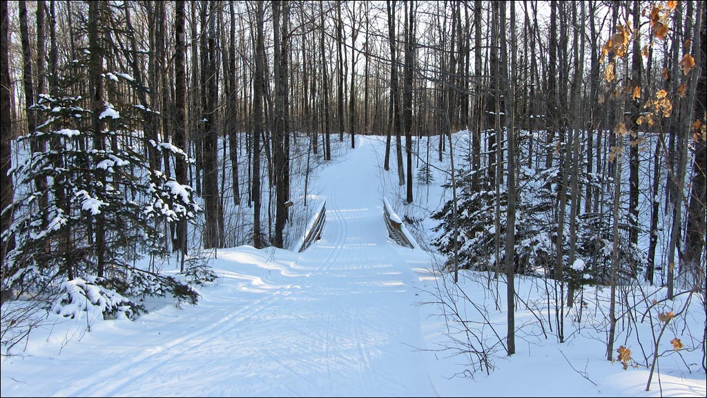 Rib Lake Ski and Snowshoe Trail Image