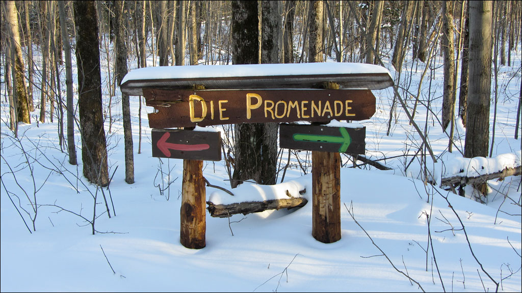 Rib Lake Ski and Snowshoe Trail Image