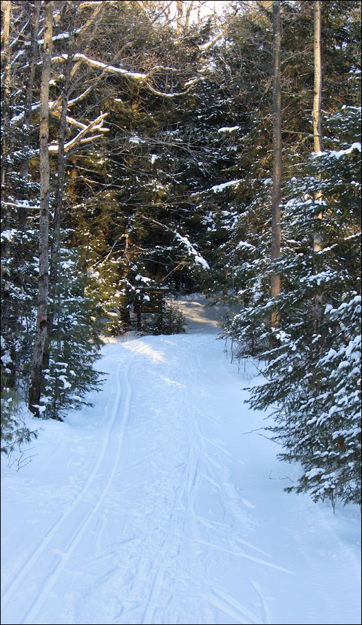 Rib Lake Ski and Snowshoe Trail Image