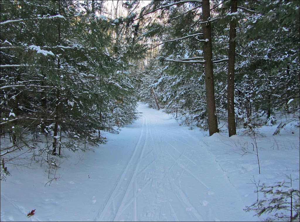 Rib Lake Ski and Snowshoe Trail Image