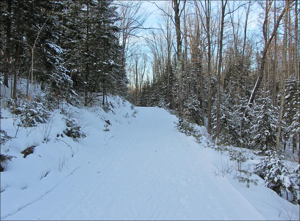 Rib Lake Ski and Snowshoe Trail Image