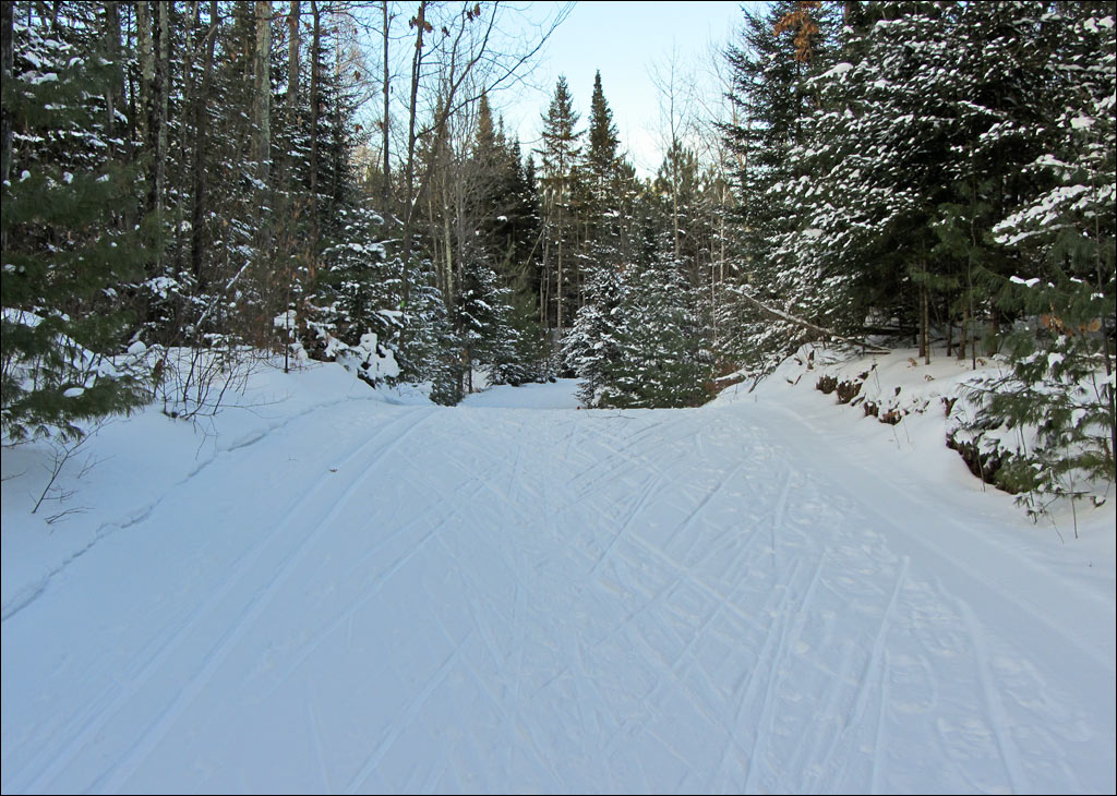 Rib Lake Ski and Snowshoe Trail Image