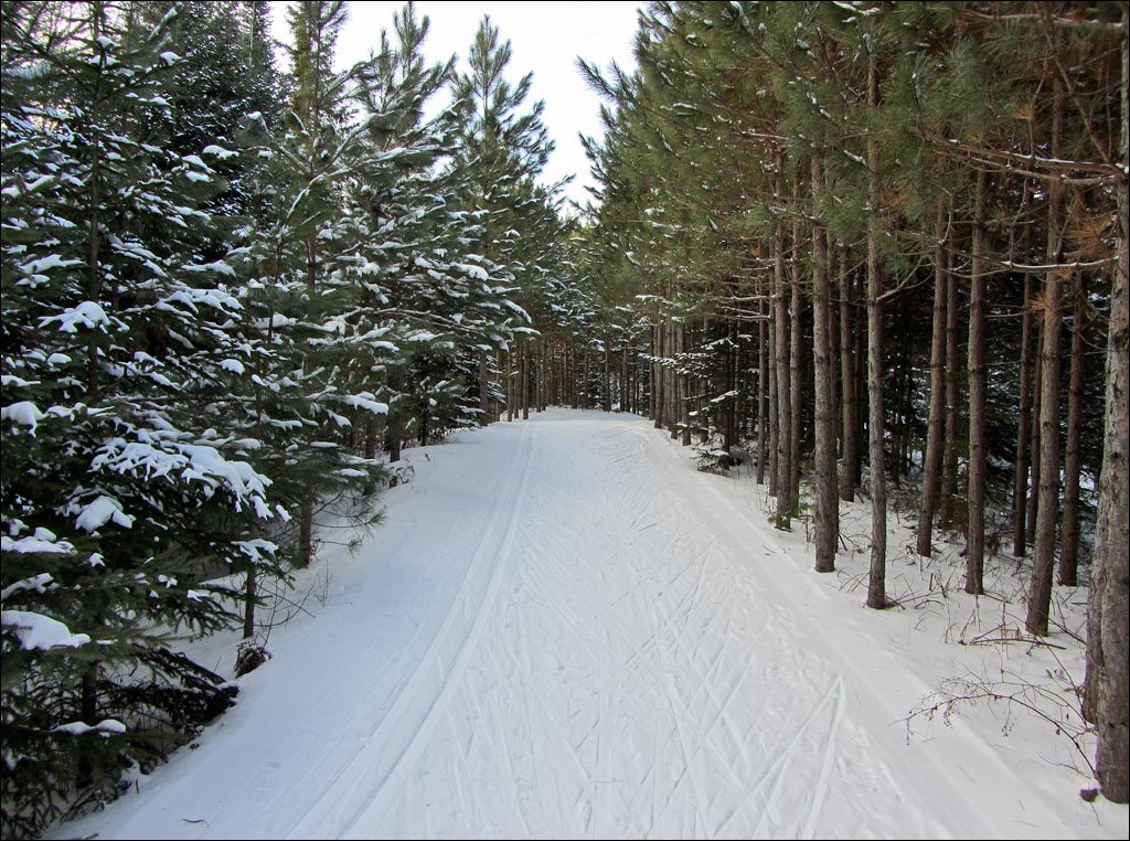 Rib Lake Ski and Snowshoe Trail Image