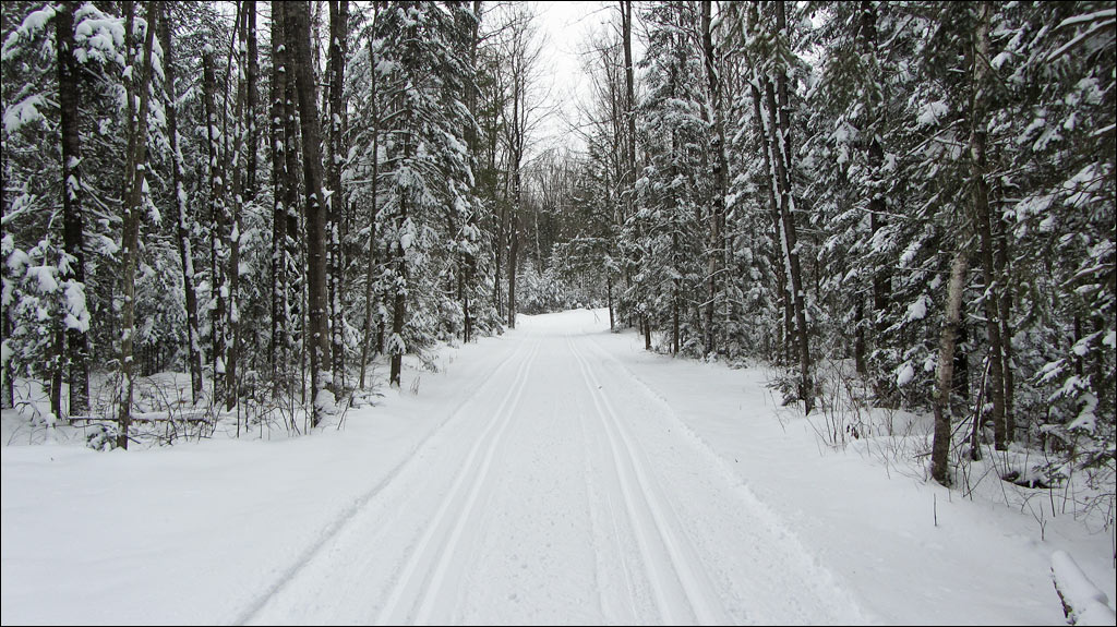 Underdown Ski Trail Image