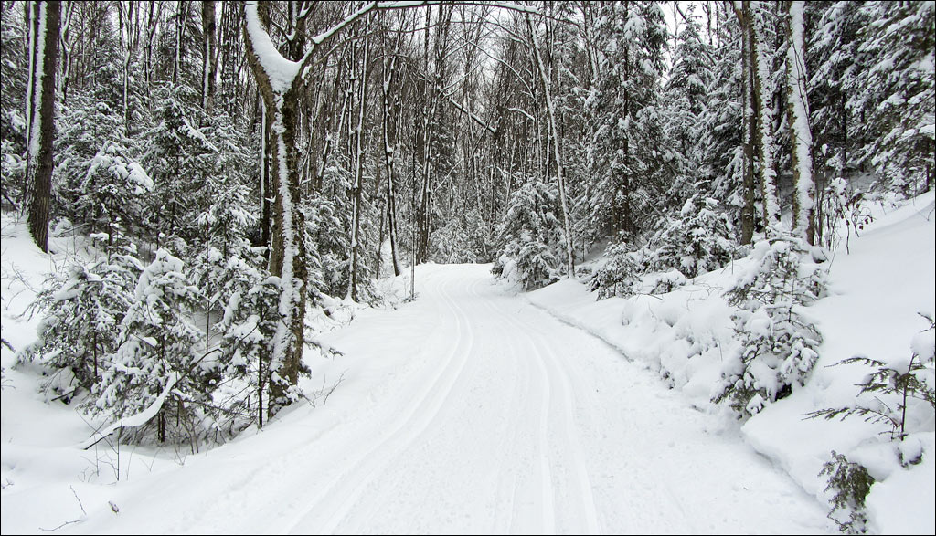 Underdown Ski Trail Image