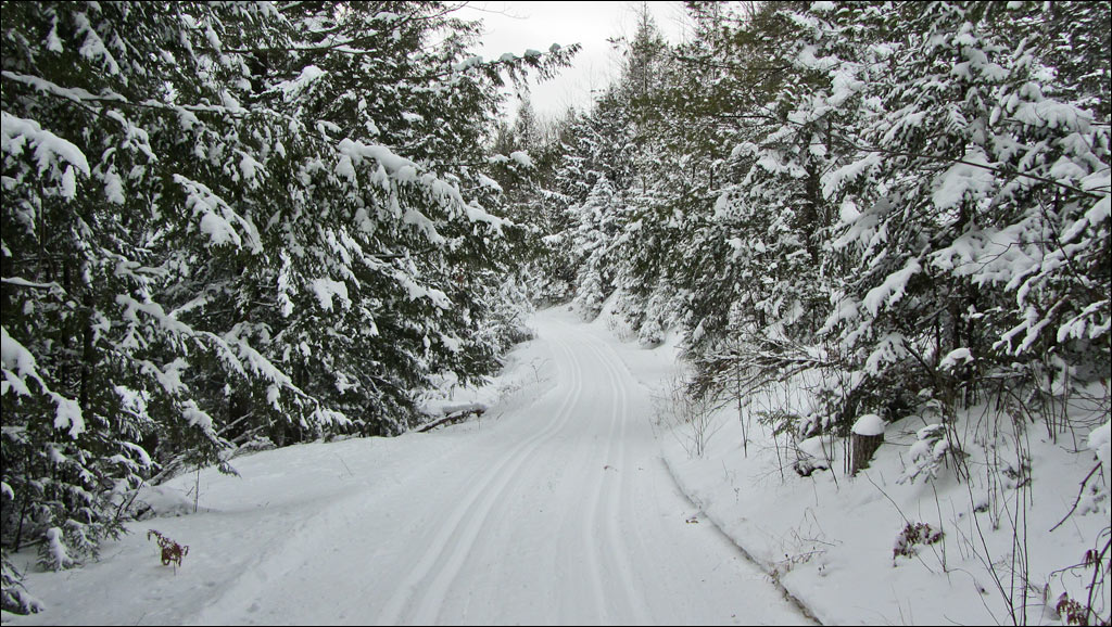 Underdown Ski Trail Image