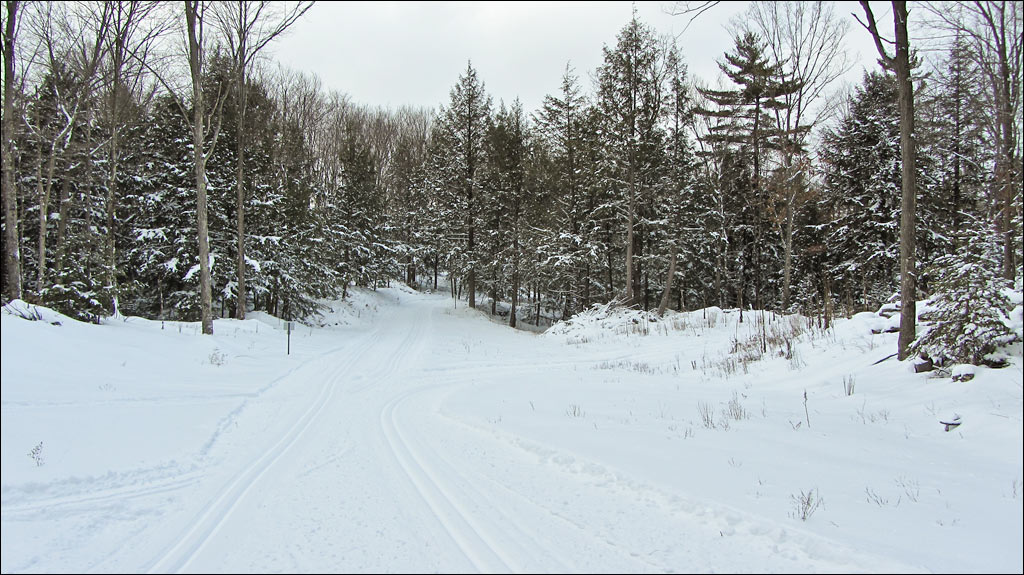 Underdown Ski Trail Image