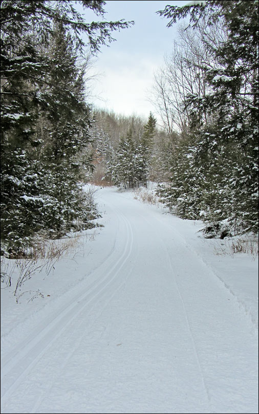 Underdown Ski Trail Image