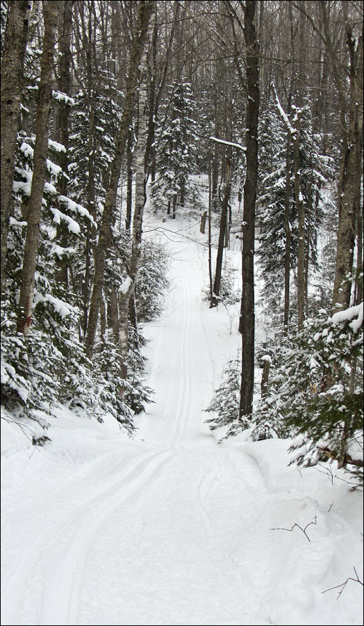 Underdown Ski Trail Image