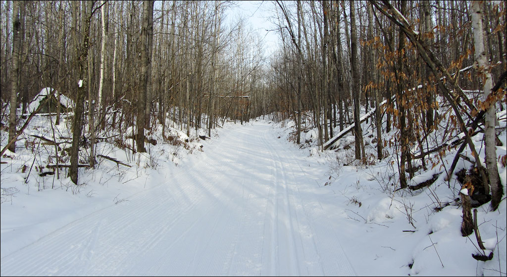 Washburn Lake Silent Sports Trails Area, Ski Trail Image