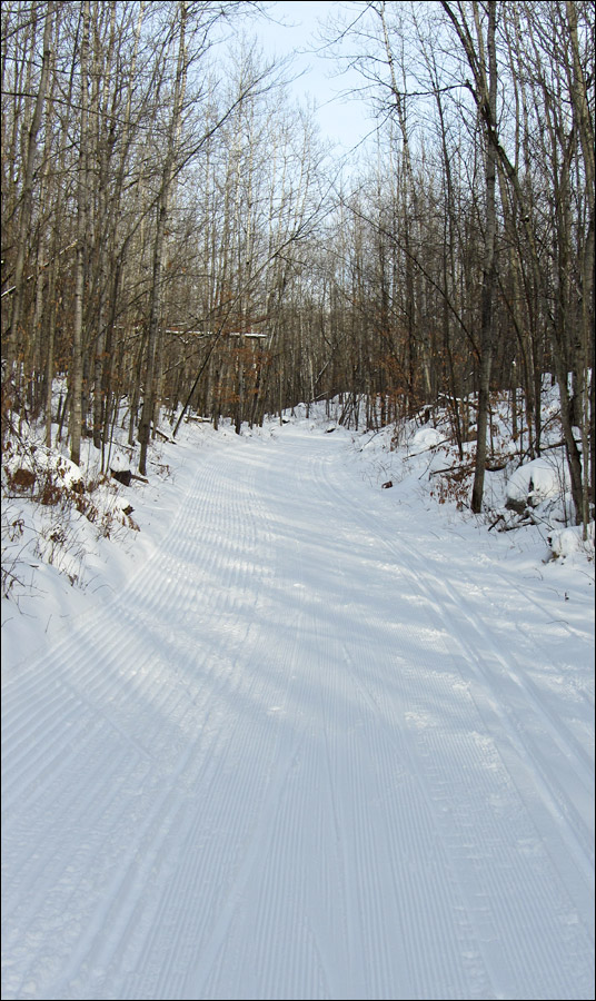 Washburn Lake Silent Sports Trails Area, Ski Trail Image