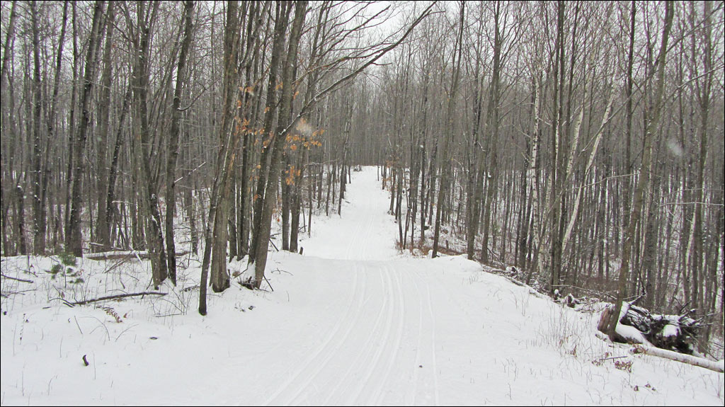 Washburn Lake Silent Sports Trails Area, Ski Trail Image