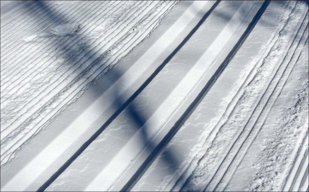 Minocqua Winter Park Trail Image