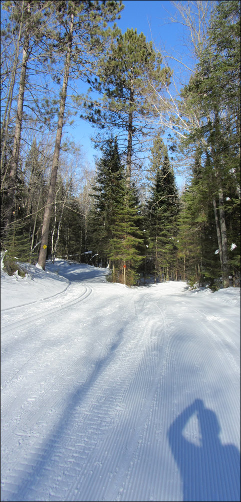 Minocqua Winter Park Trail Image