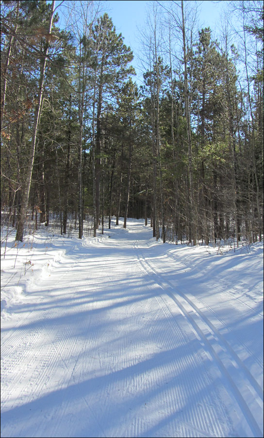 Minocqua Winter Park Trail Image