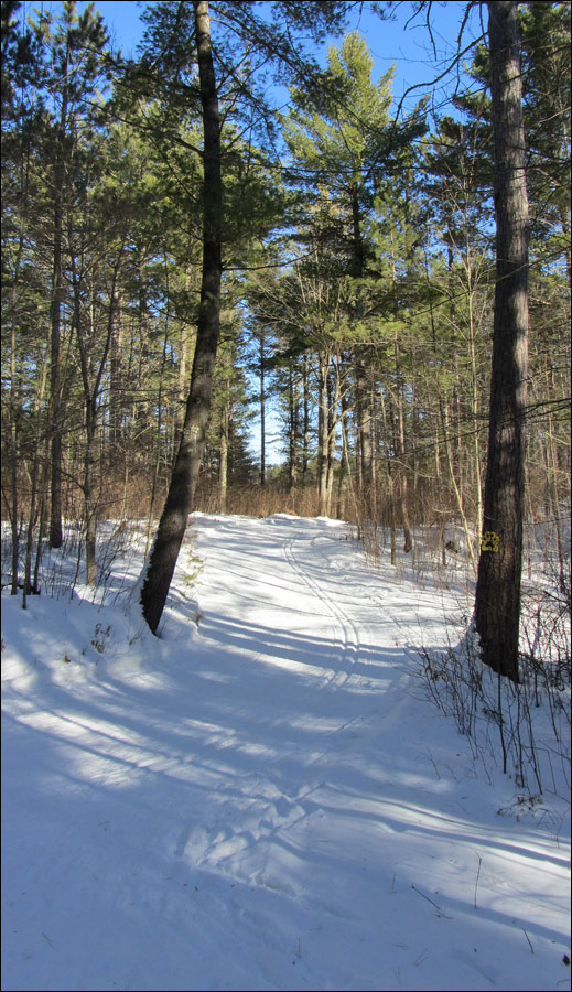 Minocqua Winter Park Trail Image