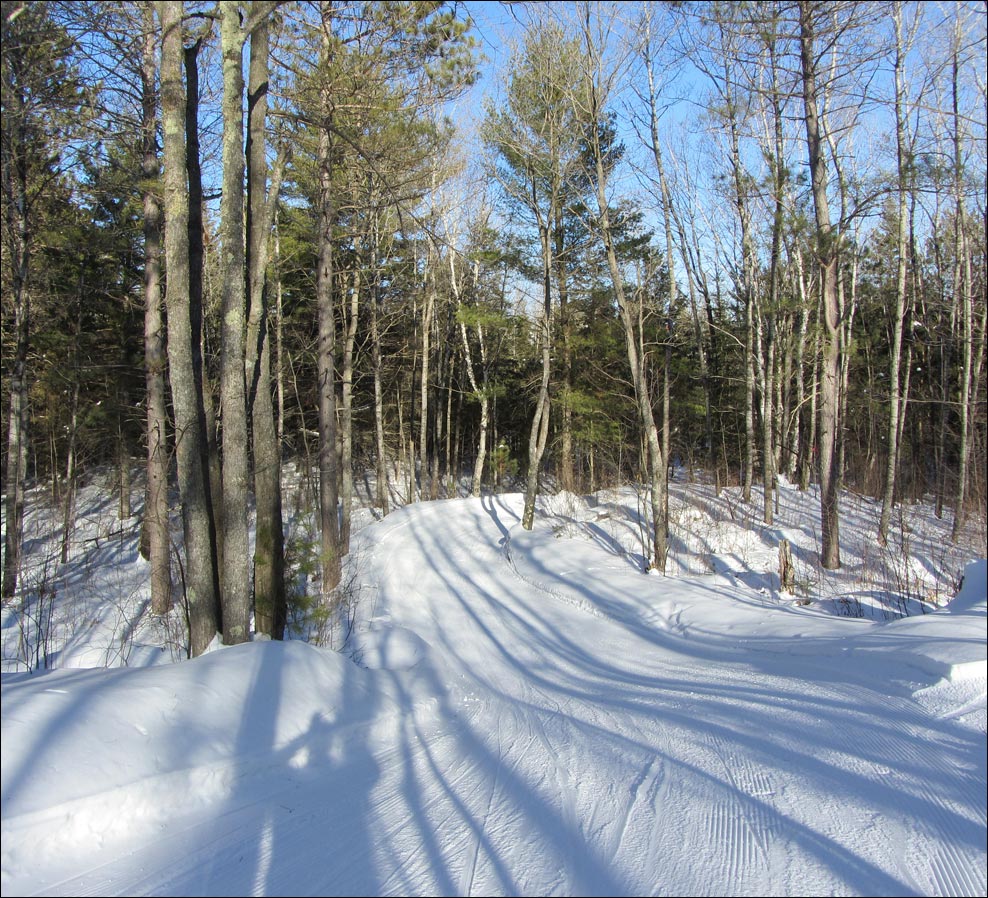 Minocqua Winter Park Trail Image